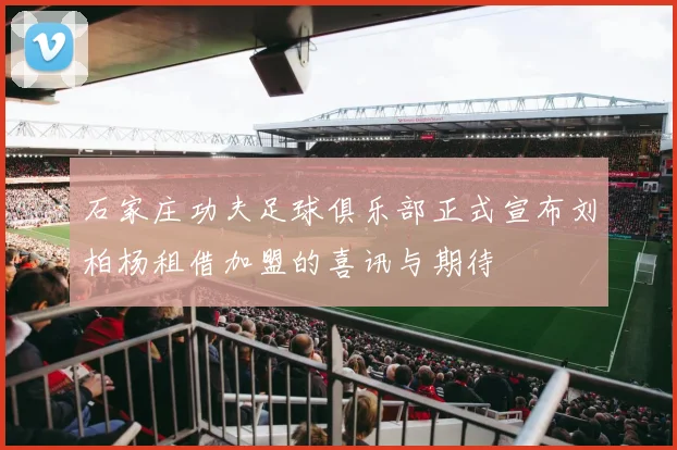 石家庄功夫足球俱乐部正式宣布刘柏杨租借加盟的喜讯与期待
