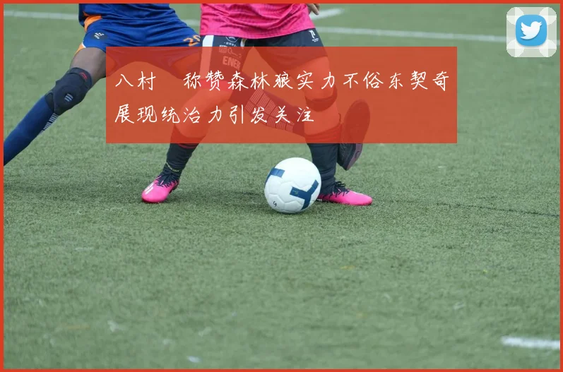 八村塁称赞森林狼实力不俗东契奇展现统治力引发关注